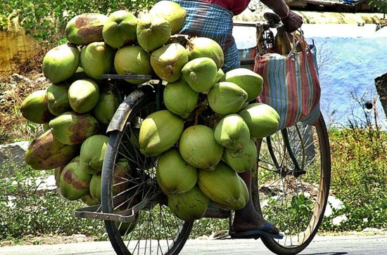 green coconut vendors in India, most popular Indian drinks ...