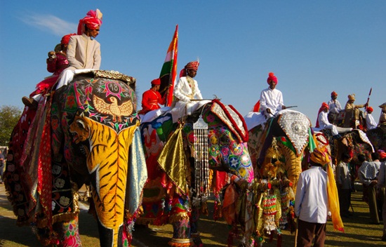 Interesting Facts about Jaipur Elephant Festival: Date and Venue