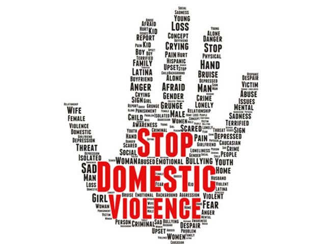 Violence against women act USA, Democrat Raja Krishnamoorthi news, domestic violence in USA