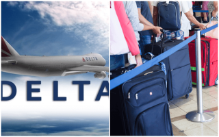 delta add baggage