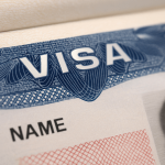 US Visa Navigator Tool, US visa news, How to use US visa navigator