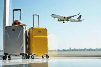 international travel trends, international aviation developments, US airports visitor passes